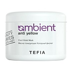Маска для волос тонирующая холодный фиолет TEFIA Ambient Anti Yellow 500 мл